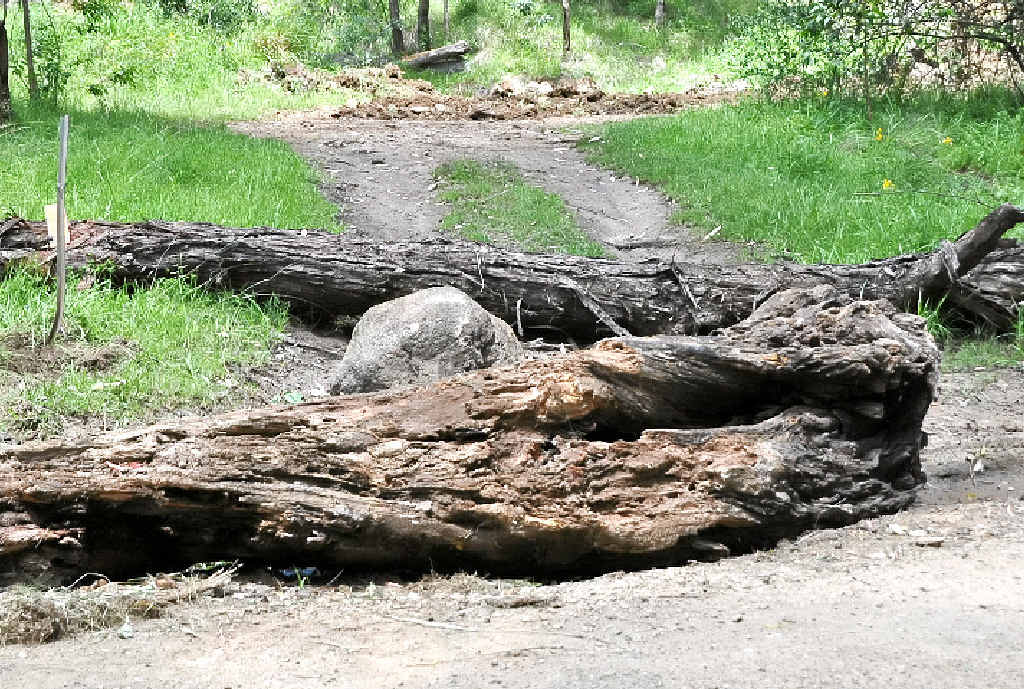 Logs and boulders have been placed to stop vandals gaining entry to one of the areas they damaged.
